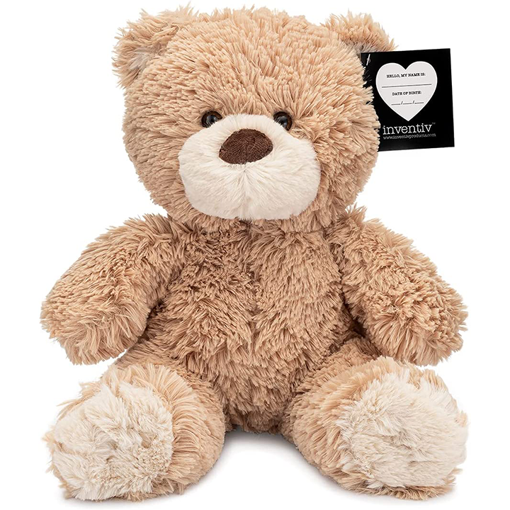 Teddy Bear with Pouch Easily Insert a Recordable Sound Module Inventiv Products